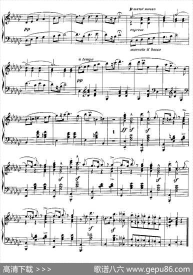 FivePolishNationalDanceOp.3（5首波兰民族舞曲No.1）|泽维尔·沙温卡