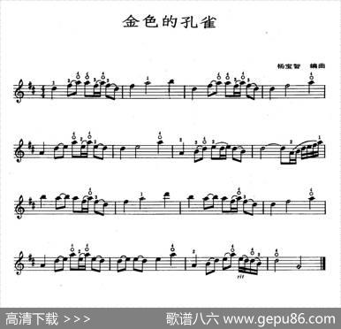 金色的孔雀|杨宝智编曲