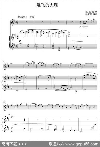 远飞的大雁（小提琴+钢琴伴奏）|藏族民歌、杨宝智编曲