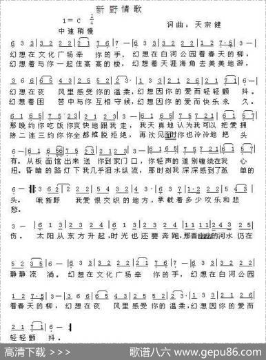新野情歌 - 天宗健|天宗健