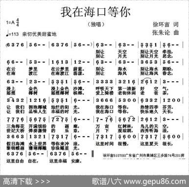 我在海口等你 - 徐环宙|张朱论