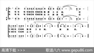 五十年庆典 - 刘志毅|音波