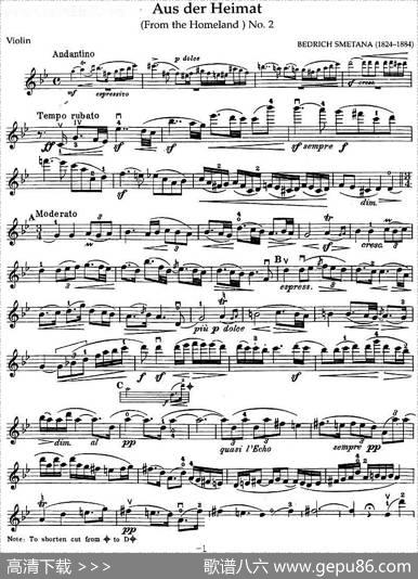 AusderHeimat（FromtheHomelandNo.2）|斯美塔那