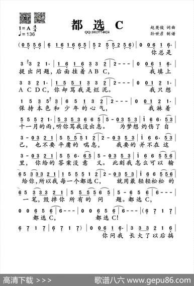 都选C（缝纫机乐队摇滚版） - 赵英俊|赵英俊