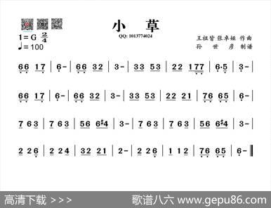 小草（葫芦丝谱）|王祖皆张卓娅