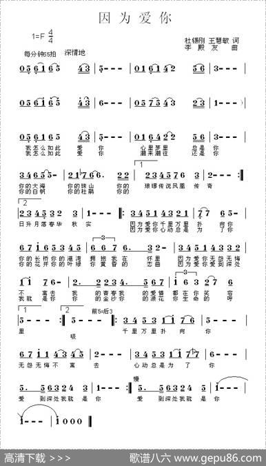 因为爱你（王慧敏杜锡刚词李殿友曲） - 王慧敏杜锡刚|李殿友