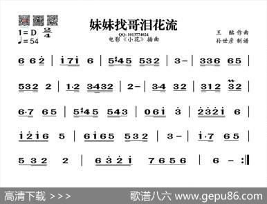 妹妹找哥泪花流（葫芦丝谱）|王酩