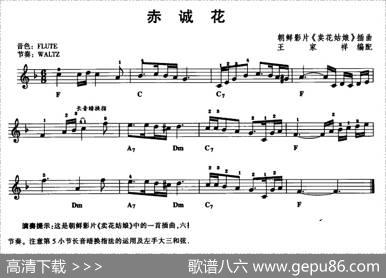 赤诚花|王家祥编配