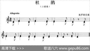 杜鹃（小号）