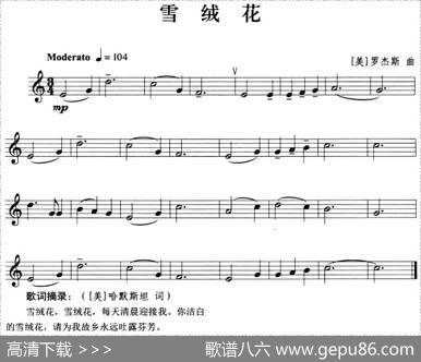 雪绒花（小号）|[美]罗杰斯