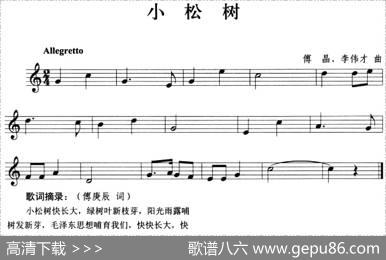 小松树（小号）|傅晶、李伟才