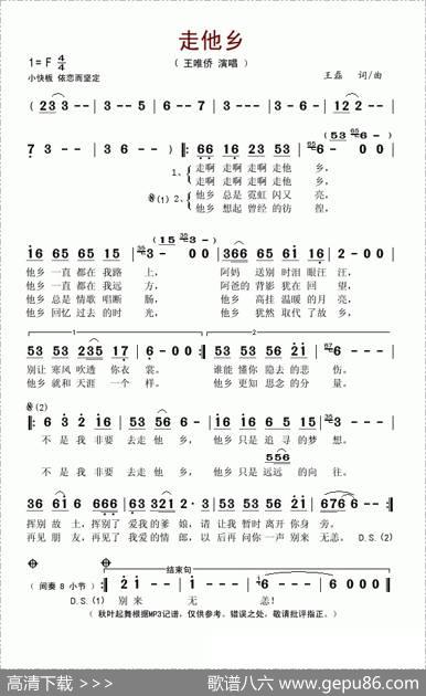 走他乡 - 王磊|王磊