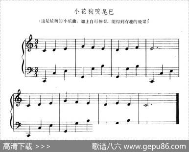 小花狗咬尾巴|安智盛编曲