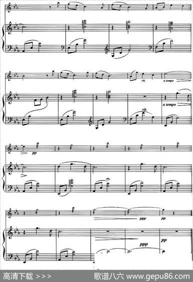 神秘园——蝴蝶（PAPILLON、小提琴+钢琴伴奏）