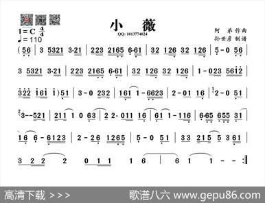 小薇（葫芦丝旋律谱） - 阿弟|阿弟