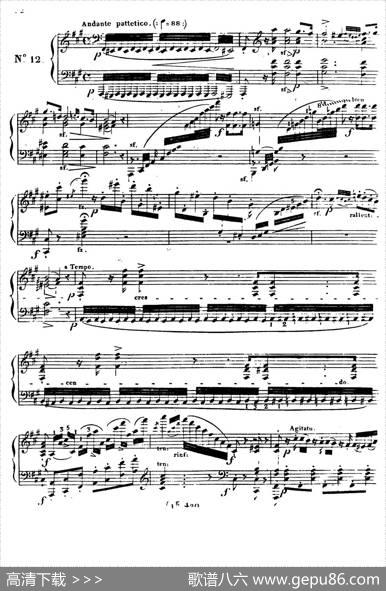 24ExercicesetPreludesOp.21（24首前奏练习曲·12）|亨利·赫尔茨