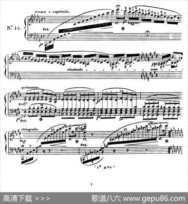 24ExercicesetPreludesOp.21（24首前奏练习曲·15）|亨利·赫尔茨