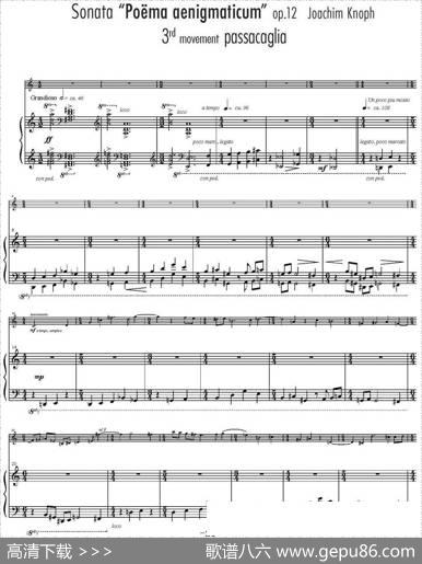 SonataPoemaaenigmaticum（小提琴+钢琴伴奏、3rdmovement）|JoachimKnoph