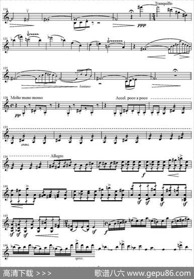 Rhapsody（狂想曲）|WolfgangPlagge