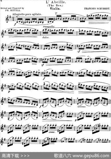 L'Abeille|舒伯特