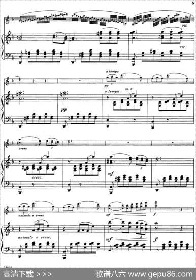 Standchen（小提琴+钢琴伴奏）|FranzSchubert曲MischaElman改编