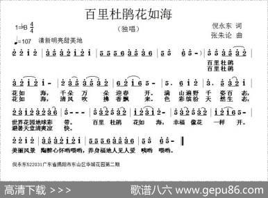 百里杜鹃花如海 - 倪永东|张朱论