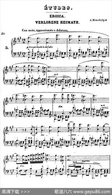 DouzeEtudesdeSalonOp.5（12首沙龙练习曲·5）|阿道夫·冯·亨赛尔特