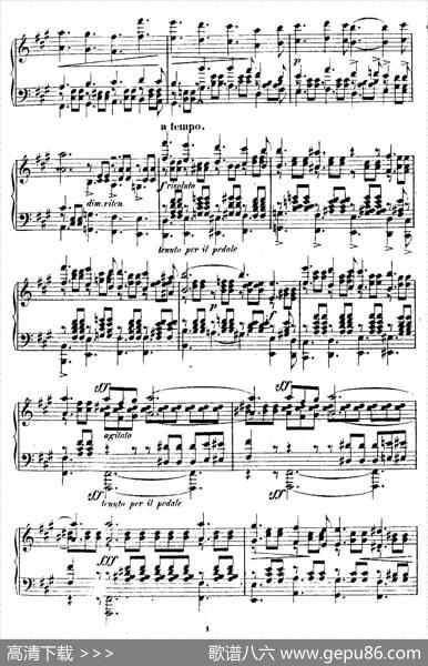 DouzeEtudesdeSalonOp.5（12首沙龙练习曲·5）|阿道夫·冯·亨赛尔特