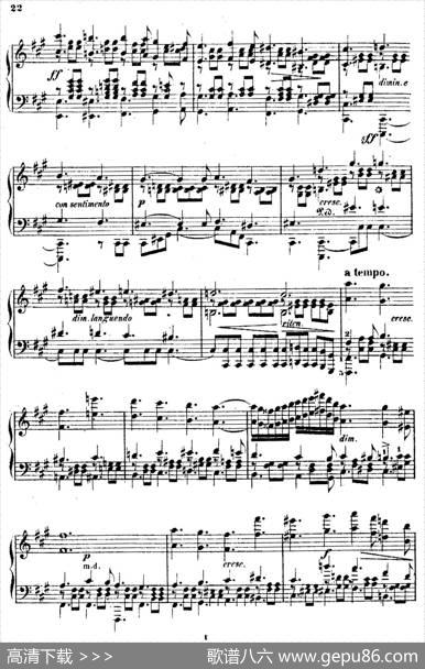 DouzeEtudesdeSalonOp.5（12首沙龙练习曲·5）|阿道夫·冯·亨赛尔特