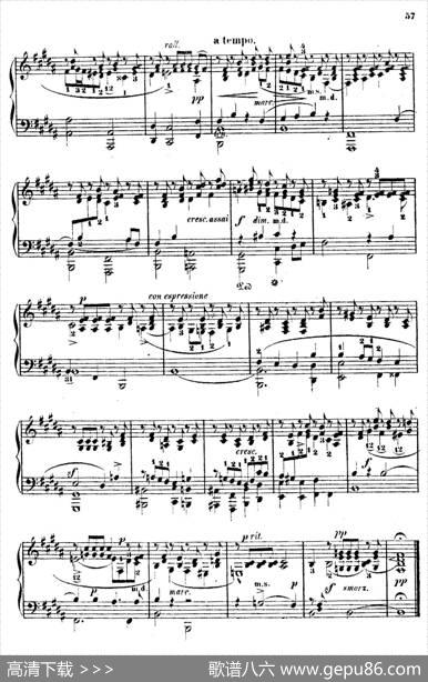 DouzeEtudesdeSalonOp.5（12首沙龙练习曲·11）|阿道夫·冯·亨赛尔特