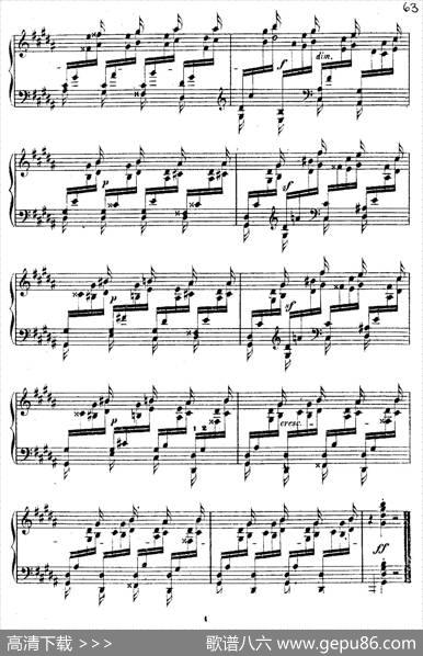 DouzeEtudesdeSalonOp.5（12首沙龙练习曲·12）|阿道夫·冯·亨赛尔特