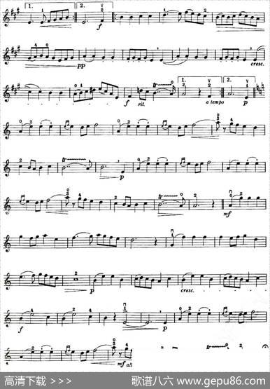 LaCinquantaine（金婚式）|G.Marie