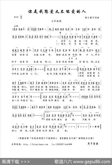 你是我想爱又不能爱的人（轻云望月词曲） - 轻云望月|轻云望月