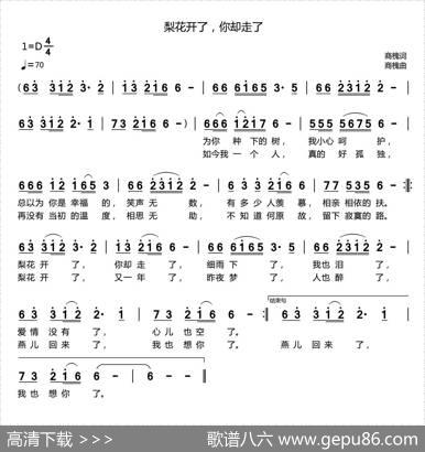 梨花开了，你却走了 - 商槐|商槐