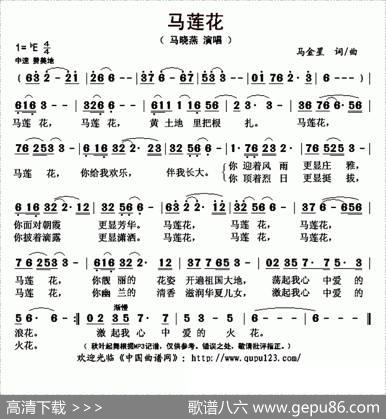 马莲花 - 马金星|马金星