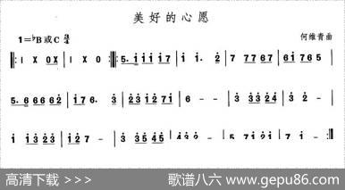 中国民族民间舞曲选（十)维吾尔族舞蹈：美好的心）|何维青
