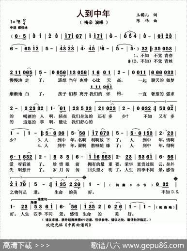 人到中年（玉镯儿词陈伟曲） - 玉镯儿|陈伟