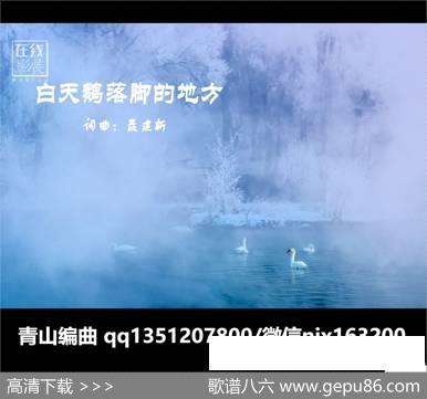 白天鹅落脚的地方 - 聂建新|聂建新