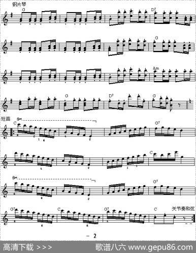森林波尔卡