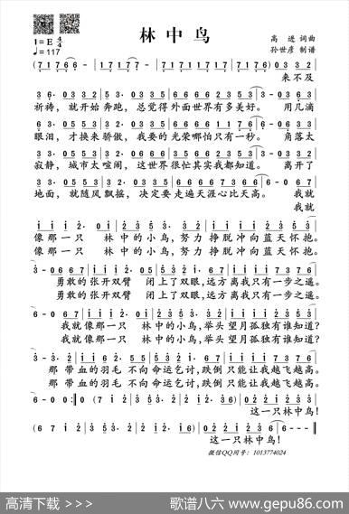林中鸟