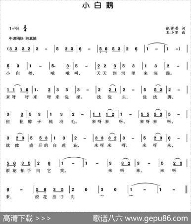 小白鹅（张宾普词王小军曲） - 张宾普|王小军