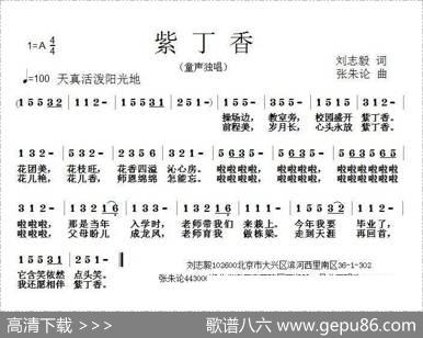 紫丁香（刘志毅词张朱论曲） - 刘志毅|张朱论