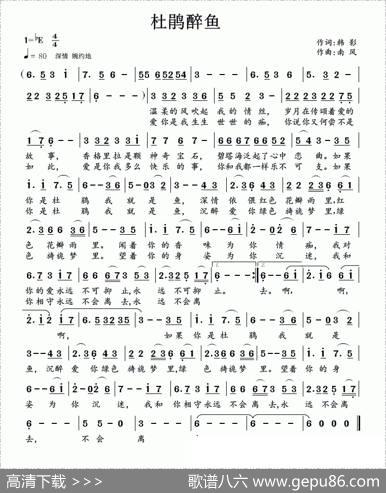 杜鹃醉鱼 - 韩影|南风