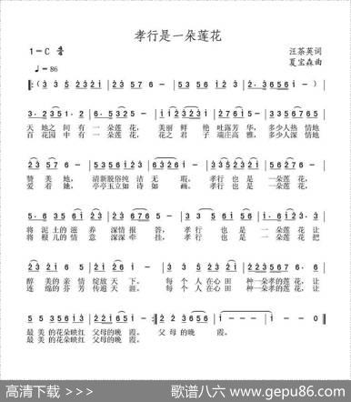 孝行是一朵莲花 - 汪茶英|夏宝森