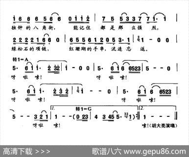 八角街 - 化方|胡力