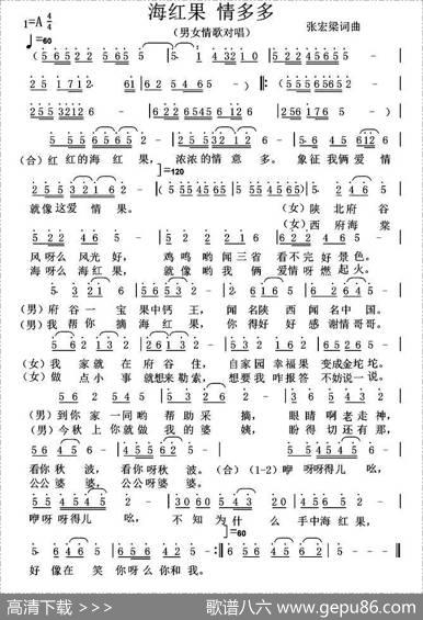 海红果请多多 - 张宏梁|张宏梁