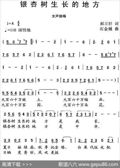 银杏生长的地方 - 郝立轩|石金城