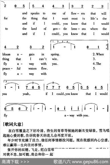 Snowbird雪鸟|AnnMurray