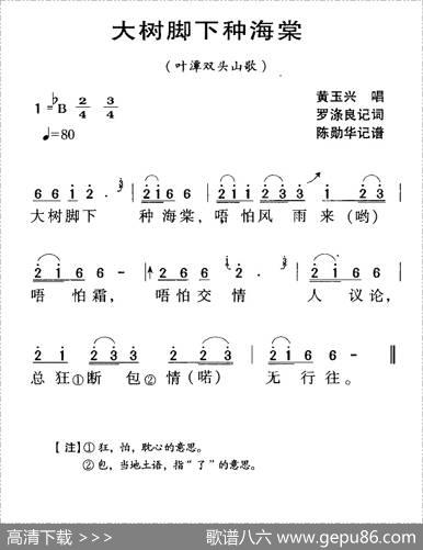 河源民歌：大树脚下种海棠