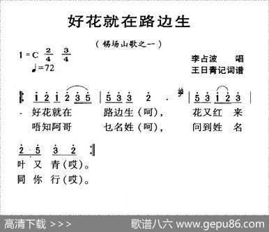 河源民歌：好花就在路边生